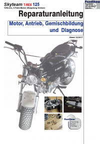 Reparaturanleitung RIS, Skyteam T-REX 125 (Kupplung hinten), Motor, Antrieb, Gemischbildung und Diagnose