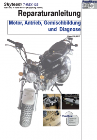 Reparaturanleitung RIS, Skyteam T-Rex 125 (Kupplung vorne), Motor, Antrieb, Gemischbildung und Diagnose