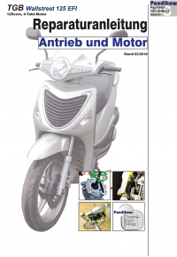 Reparaturanleitung RIS, TGB Wallstreet 125 EFI, Motor und Antrieb