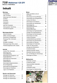 Reparaturanleitung RIS, TGB Wallstreet 125 EFI, Motor und Antrieb