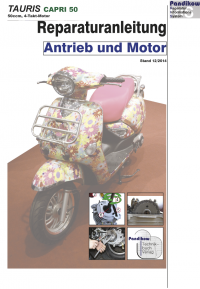 Reparaturanleitung RIS Tauris Capri 50 (4T) Antrieb und Motor