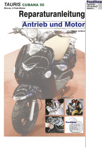 Reparaturanleitung RIS Tauris Cubana 50, 2T,  Antrieb und Motor