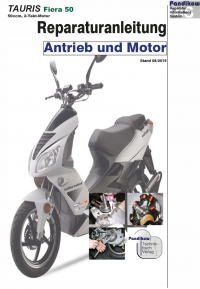 Reparaturanleitung RIS Tauris Fiera 50 2T Antrieb und Motor