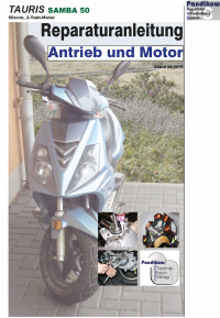 Reparaturanleitung RIS Tauris Samba 50 Antrieb und Motor