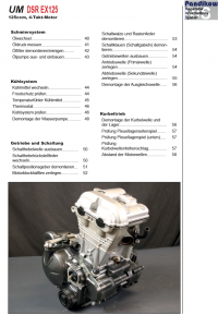 Reparaturanleitung RIS, UM DSR EX 125, 4T, Antrieb und Motor