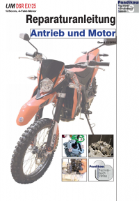 Reparaturanleitung RIS, UM DSR EX 125, 4T, Antrieb und Motor