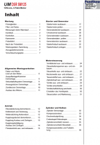 Reparaturanleitung RIS, UM DSR SM 125, 4T, Antrieb und Motor