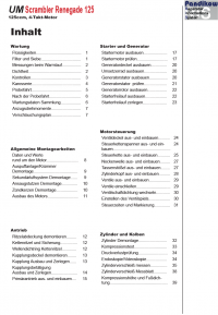 Reparaturanleitung RIS, UM Scrambler Renegade 125, 4T, Antrieb und Motor