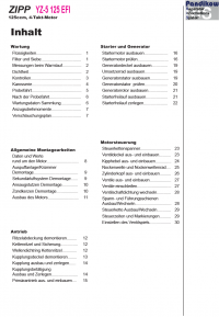 Reparaturanleitung RIS, Zipp YZ-5 125 EFI, Antrieb und Motor