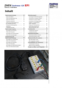 Reparaturanleitung RIS, ZNEN Darkness 125 EFI, Gemischaufbereitung und Diagnose