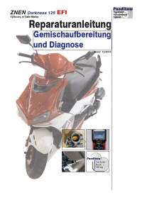 Reparaturanleitung RIS, ZNEN Darkness 125 EFI, Gemischaufbereitung und Diagnose