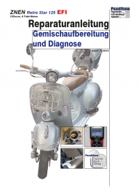 Reparaturanleitung RIS, ZNEN Retro Star 125 EFI, Gemischaufbereitung und Diagnose