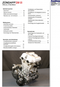 Reparaturanleitung RIS, Zündapp ZXM 125 Supermoto, Antrieb und Motor