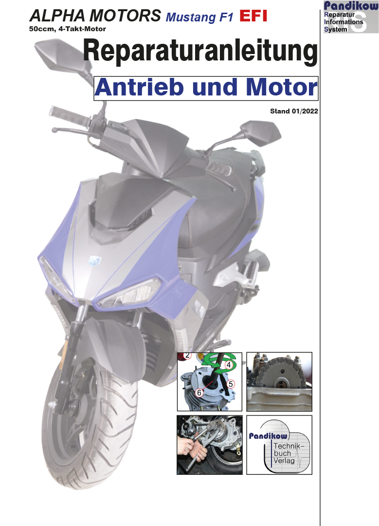Pandikow BuchReparaturanleitung RIS, Alpha Motors Mustang FI 50 EFI, 4T ...