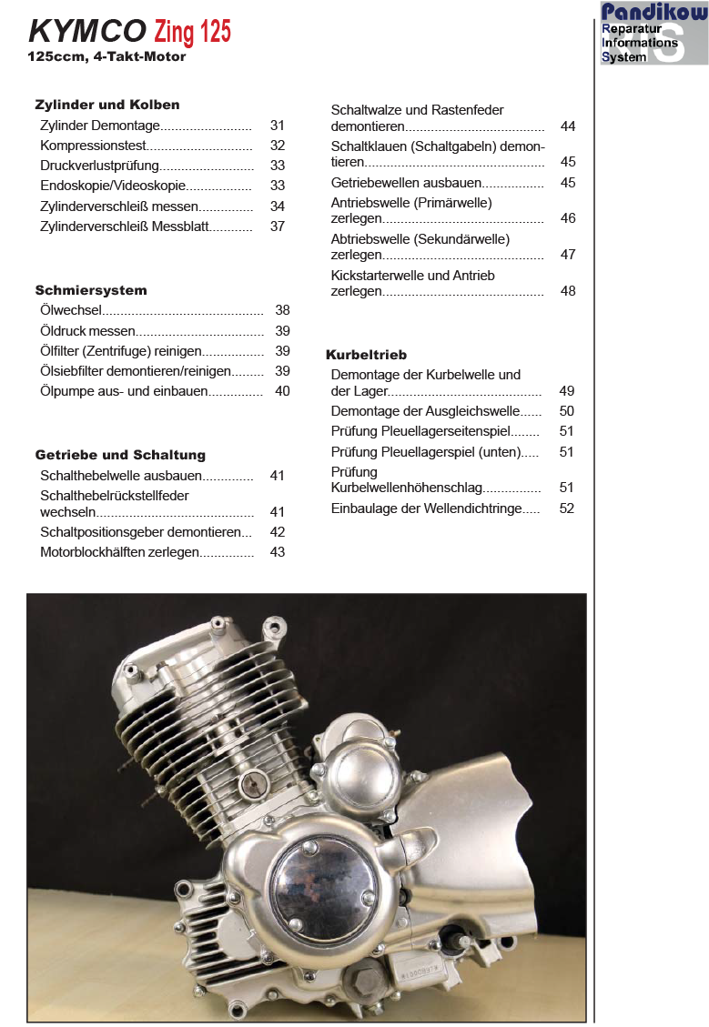 Pandikow Buch Ebook RIS Reparaturanleitung Keeway RKV 125, Antrieb Und