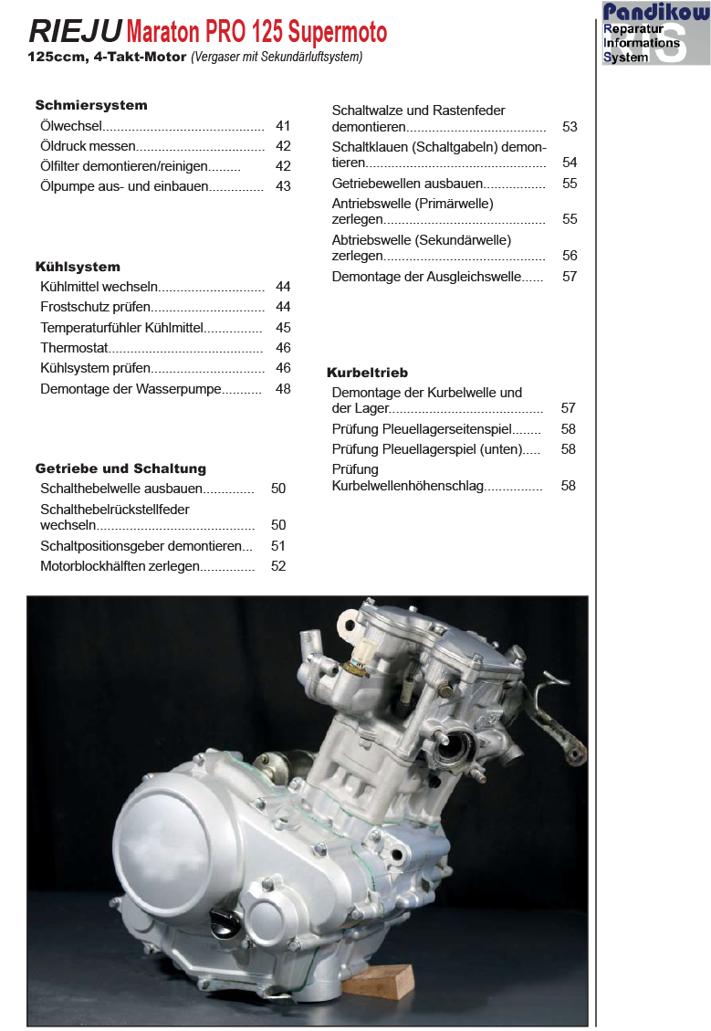 Pandikow Buch Reparaturanleitung RIS, Rieju Marathon PRO 125 Supermoto