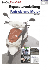 Reparaturanleitung RIS, TaoTao Speedy 50, 4T, Antrieb und Motor