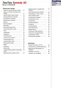 Reparaturanleitung RIS, TaoTao Speedy 50, 4T, Gemischaufbereitung, Diagnose und Elektik