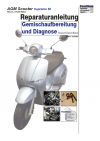 Reparaturanleitung RIS, AGM Scooters Supreme 50 ECS, 4T, Gemischaufbereitung und Diagnose