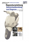 Reparaturanleitung RIS, AGM Scooters VX50 Diamond Edition Plus ECS, 4T, Gemischaufbereitung und Diagnose