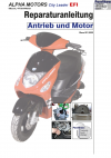 Reparaturanleitung RIS, Alpha Motors City Leader 50 EFI, 4T, Antrieb und Motor