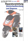 Reparaturanleitung RIS, Alpha Motors City Leader 50 EFI, 4T, Gemischaufbereitung und Diagnose