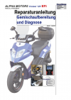 Reparaturanleitung RIS, ALPHA MOTORS Cruiser 125 EFI, Gemischaufbereitung und Diagnose