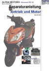 Reparaturanleitung RIS, Alpha Motors Hurricane RC 50, Antrieb und Motor