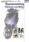 Reparaturanleitung RIS, Alpha Motors Mustang 125 EFI, 4T, Antrieb und Motor