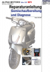 Reparaturanleitung RIS, Alpha Motors Vita 125 EFI, 4T, Gemischaufbereitung und Diagnose