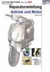 Reparaturanleitung RIS, Alpha Motors Vita 125 EFI, 4T, Antrieb und Motor