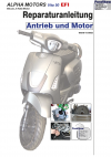 Reparaturanleitung RIS, Alpha Motors Vita 50 EFI, 4T, Antrieb und Motor