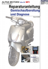 Reparaturanleitung RIS, Alpha Motors Vita 50 EFI, 4T, Gemischaufbereitung und Diagnose