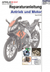 Reparaturanleitung RIS, Aprilia RS 125, 4T, Antrieb und Motor