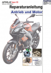 Reparaturanleitung RIS, Aprilia Tuono 125, 4T, Antrieb und Motor