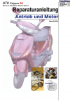 Reparaturanleitung RIS, ATU Calypso 50 2 Takt (Kymco), Antrieb und Motor