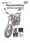Reparaturanleitung RIS, Brixton BX 125, 4T, Antrieb und Motor
