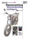 Reparaturanleitung RIS, Brixton BX 125 Cromwell, 4T, Gemischaufbereitung und Diagnose