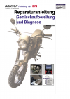Reparaturanleitung RIS, Brixton BX 125 Felsberg, 4T, Gemischaufbereitung und Diagnose