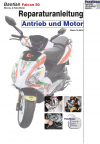 Reparaturanleitung RIS, Baotian Falcon 50, 2T, Antrieb und Motor