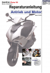 Reparaturanleitung RIS, Beeline Pista 50, 2T, Antrieb und Motor