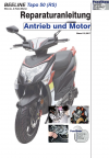 Reparaturanleitung RIS, Beeline Tapo 50 (2T) Antrieb und Motor