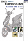 RIS Reparaturanleitung Benneng Carbono 125 Antrieb und Motor