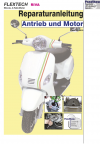 Reparaturanleitung RIS Flex Tech Riva Antrieb und Motor