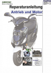 Reparaturanleitung RIS, GMX 550 4T, Antrieb und Motor