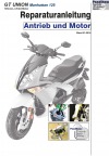 RIS Reparaturanleitung GT Union Manhattan 125 Antrieb und Motor