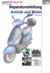 Reparaturanleitung RIS, Giantco Sprint 50, 4T, Antrieb und Motor