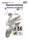 Reparaturanleitung RIS, KSR MOTO Quip 125, 4T, Antrieb und Motor