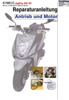 Reparaturanleitung RIS, Kymco Agility RS 50 2 Takt (Kymco Motor), Antrieb und Motor