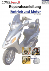 Reparaturanleitung RIS, Kymco Spacer 50, Antrieb und Motor